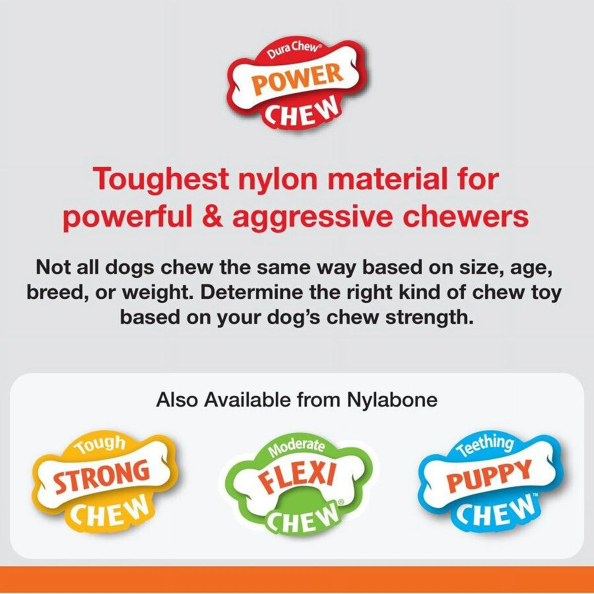 Giant Beef Flavor Dog Chew Toy M18343