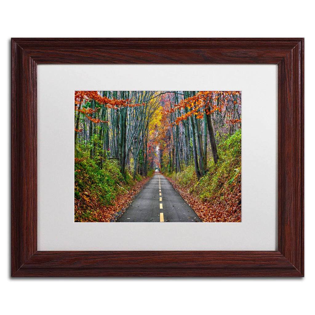 White Matte Wood Frame CATeyes Paths Art D2164
