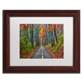 White Matte Wood Frame CATeyes Paths Art D2164