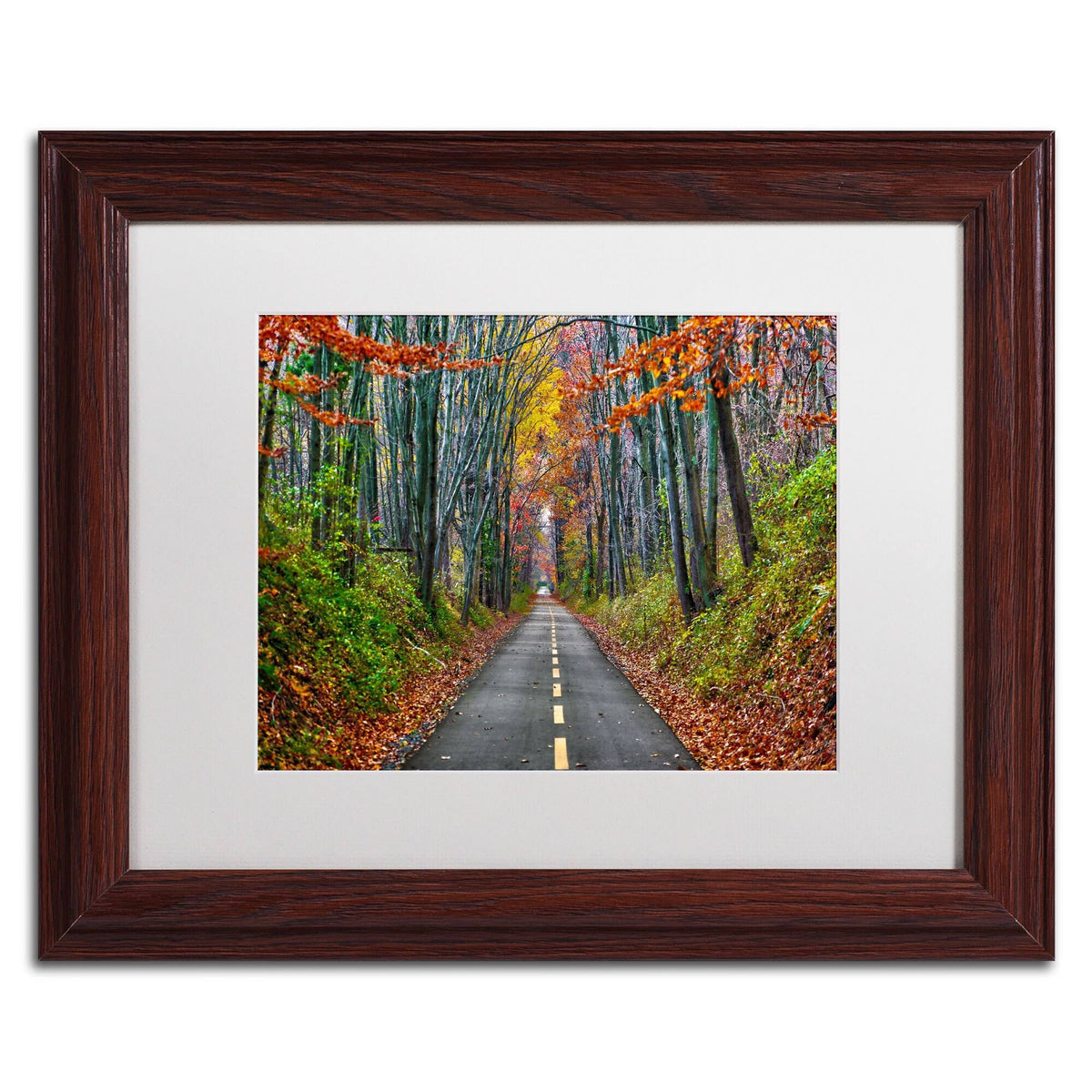White Matte Wood Frame CATeyes Paths Art D2164