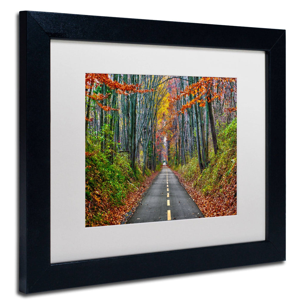 White Matte Wood Frame CATeyes Paths Art D2164