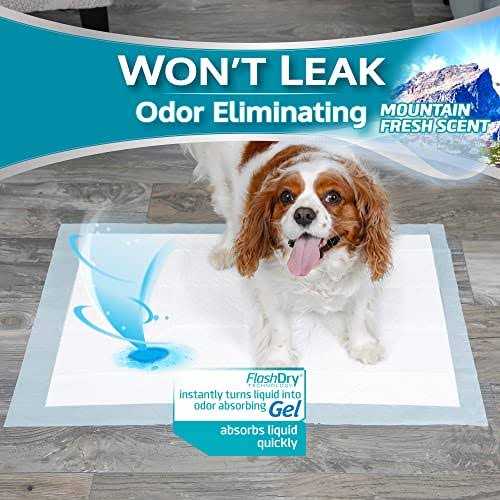 Dog Pads S369