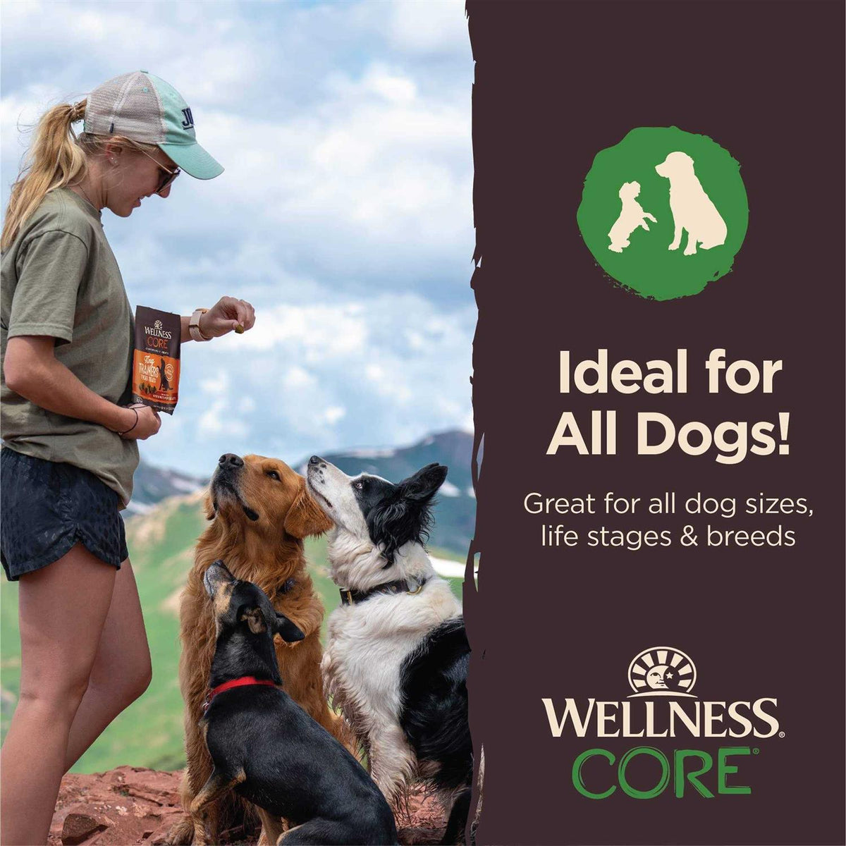 Dog Treats X4245