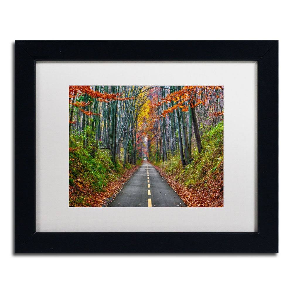 White Matte Wood Frame CATeyes Paths Art D2164