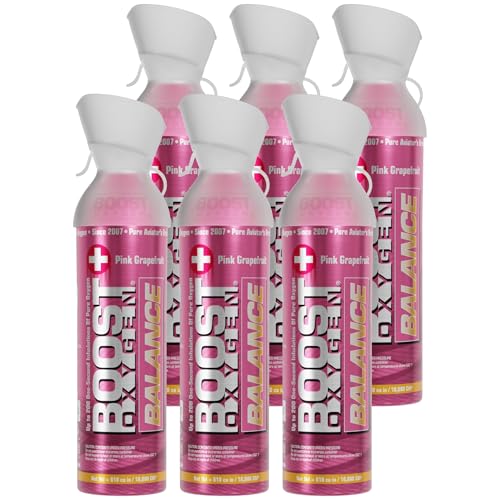 Large Natural 10L Canister (2 Pack) X8606