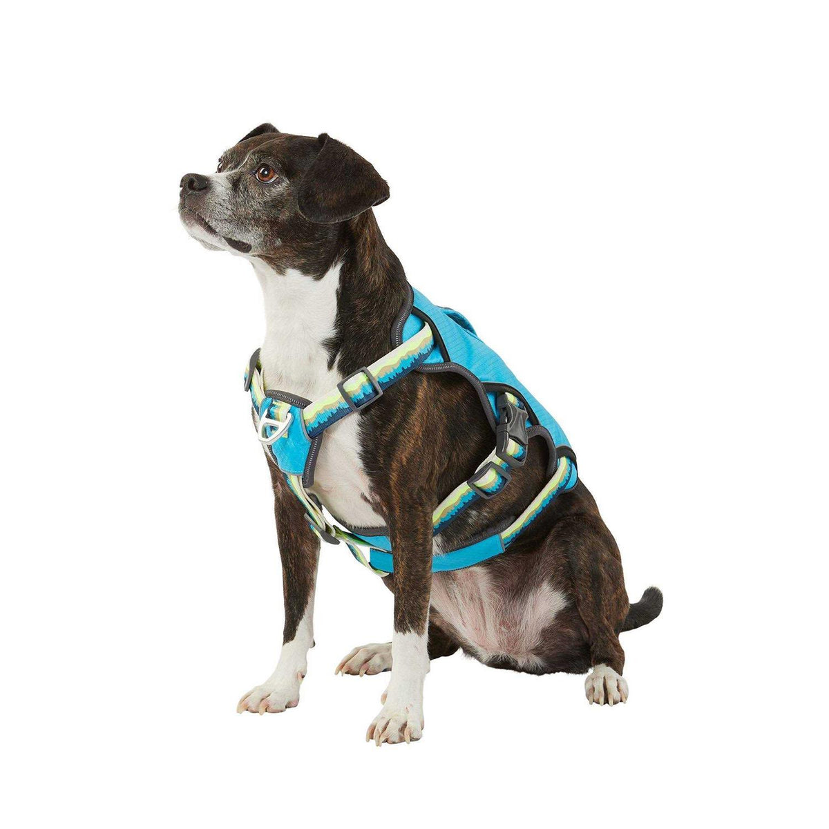 LED Dog Harness K6290