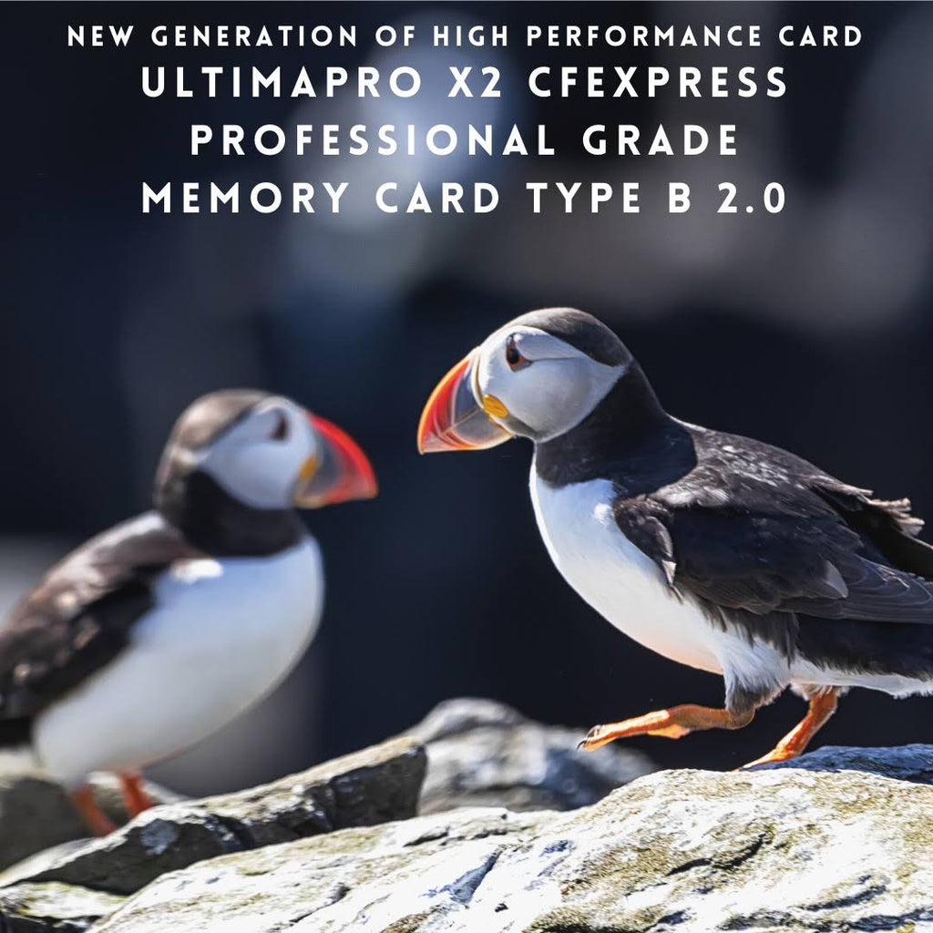 128GB CFexpress Memory Card P9022
