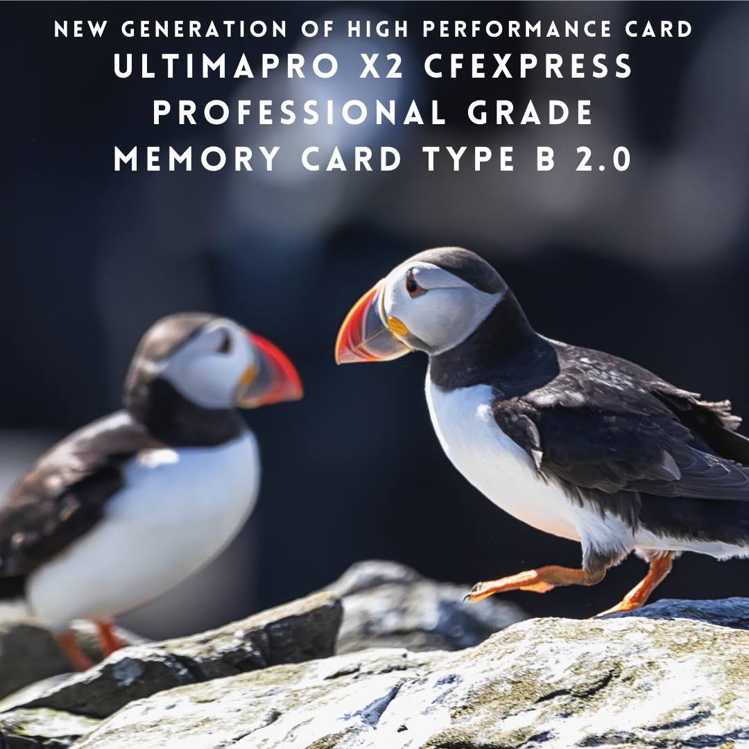 128GB CFexpress Memory Card P9022