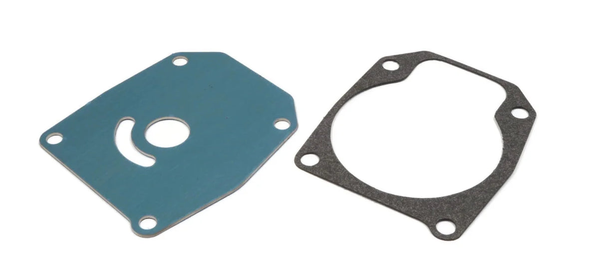 Water Pump Kit for Johnson Evinrude 20 HP Boat Motor P5276