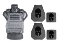 Wolf Gray Body Armor and Plate Carrier Package J8487