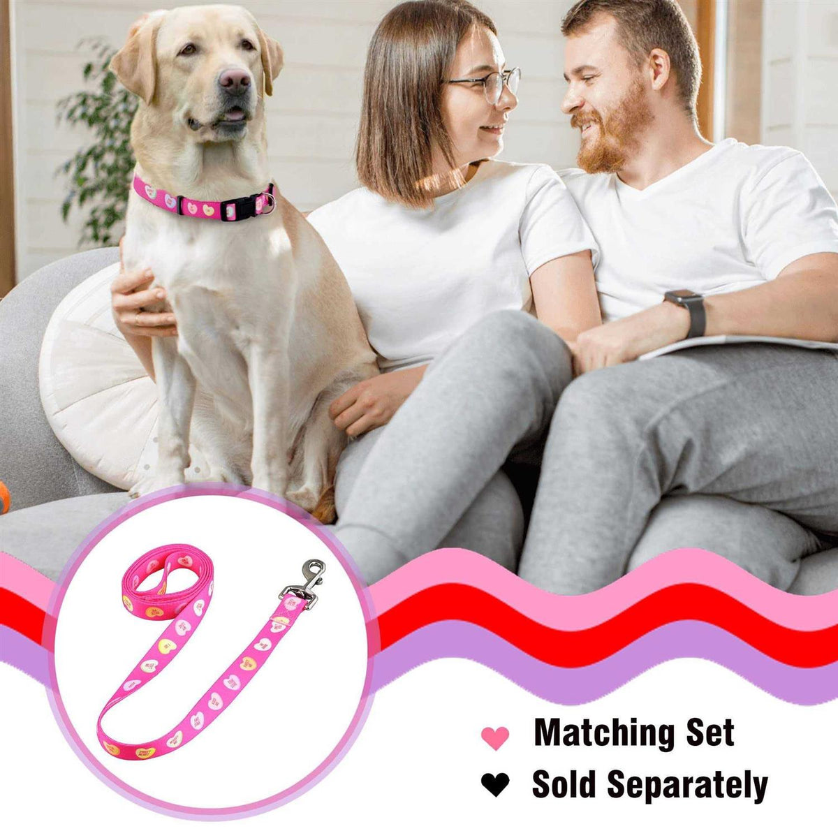 Valentines Day Heart Dog Collar O265