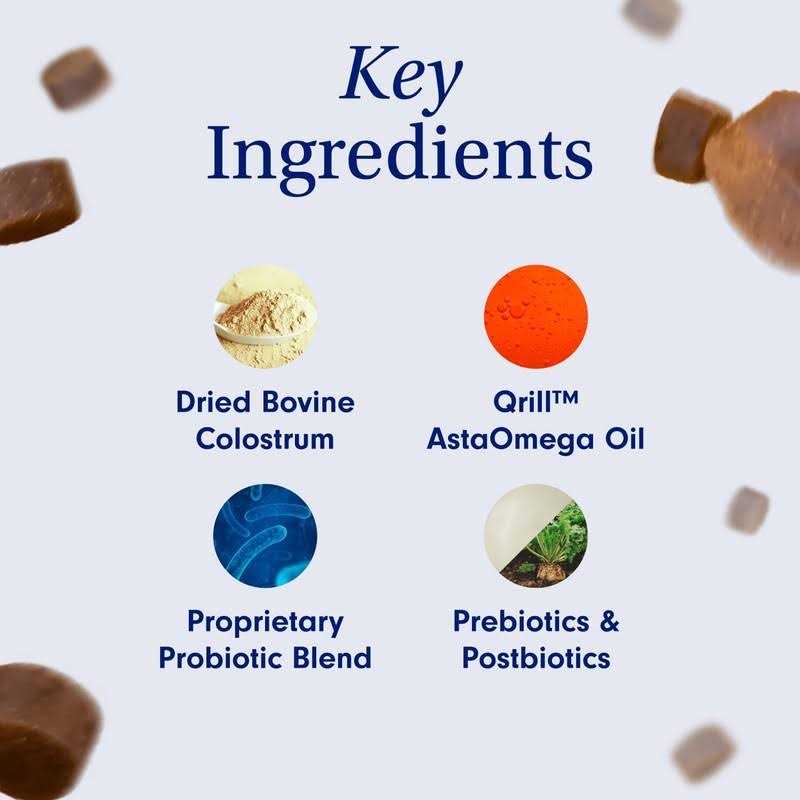 Allergy & Immune Support O361016
