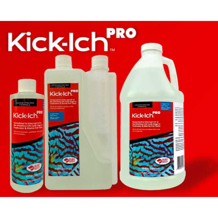 Ruby Reef Kick Ich Pro E59855